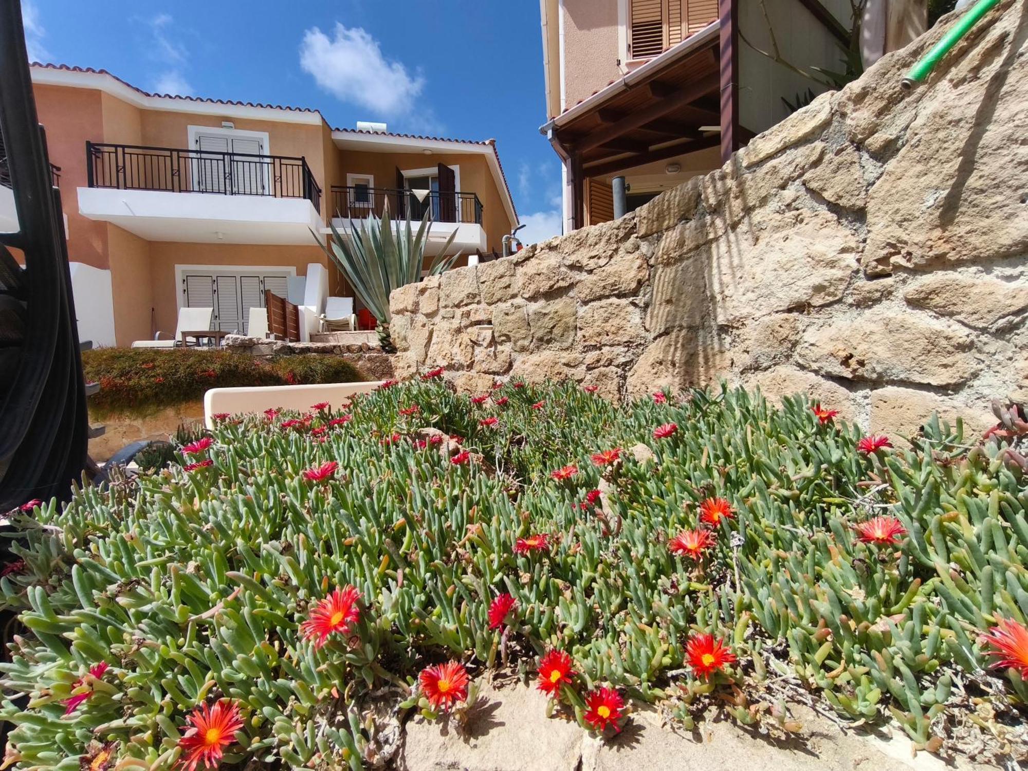 Eden Gardens Villa Paphos Eksteriør billede